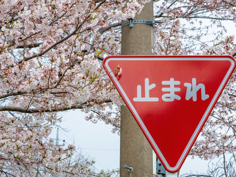 日文學習APP推薦